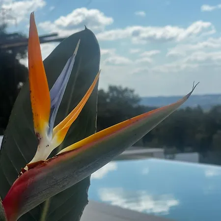 Casa Anjema Boutique With Infinity Pool *