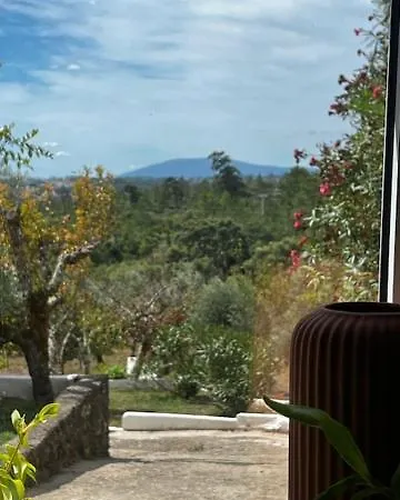 Casa Anjema Boutique With Infinity Pool Apartmán *