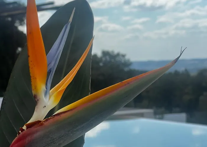 Casa Anjema Boutique With Infinity Pool *