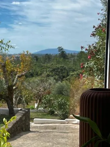 Casa Anjema Boutique With Infinity Pool Daire *